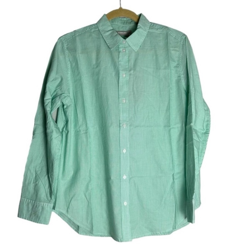 Everlane Silky Cotton Relaxed Oxford in Green Stripe